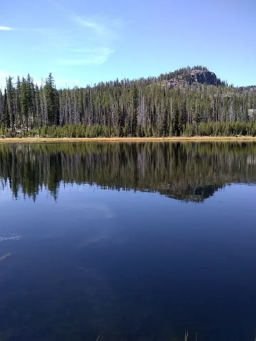 Twin Lakes Campground Picture 10