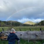 Regeneration Base Camp