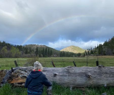 Regeneration Base Camp