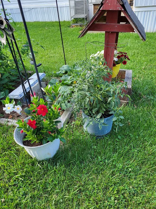 Quail Creek Mobile Home Park Picture 6