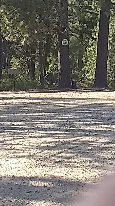 Scott Mountain Campground Picture 1