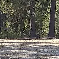 Scott Mountain Campground ico