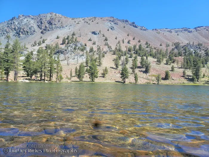 Scott Mountain Campground Picture 4
