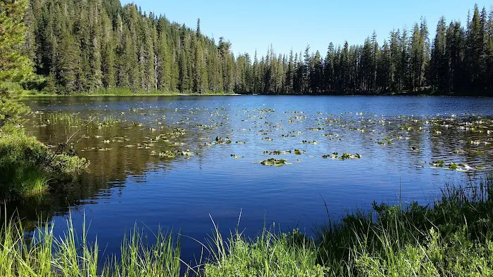 Boulder Lake Picture 7