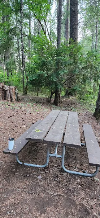 Ripstein Campground Picture 1