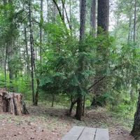 Ripstein Campground ico