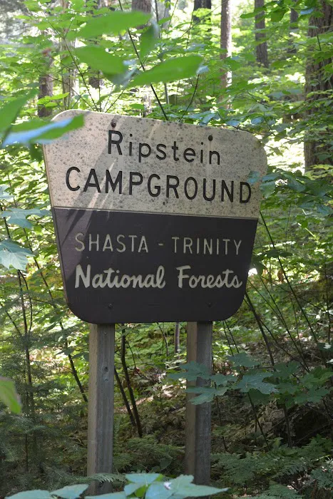 Ripstein Campground Picture 9