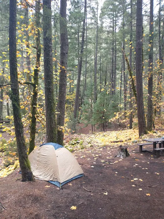 Ripstein Campground Picture 4