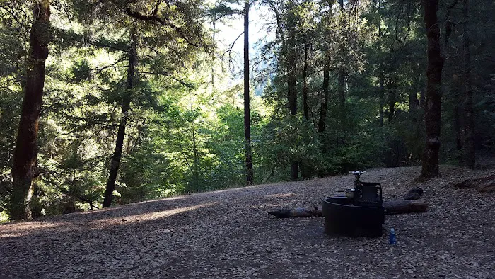 Ripstein Campground Picture 8