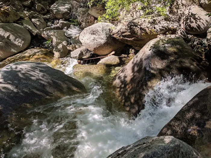 Horse Flat Cg-f Picture 7