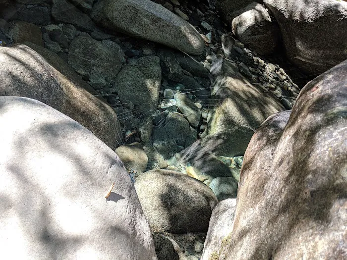 Horse Flat Cg-f Picture 6