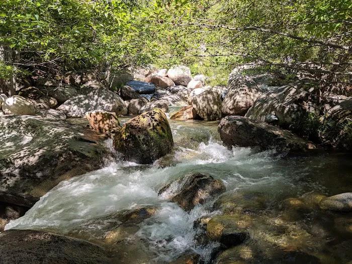 Horse Flat Cg-f Picture 2