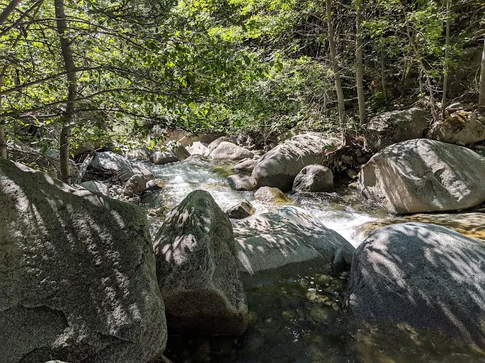 Horse Flat Cg-f Picture 9