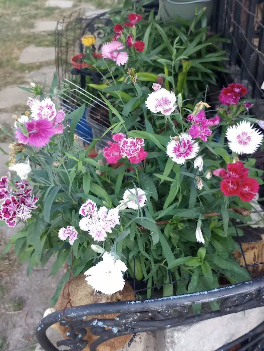 Spring Valley Mobile Home Park Picture 4