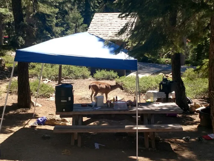 Kangaroo Lake Campground Picture 1