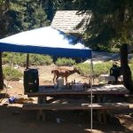 Kangaroo Lake Campground