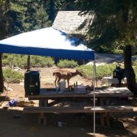 Kangaroo Lake Campground ico