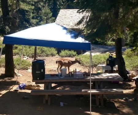 Kangaroo Lake Campground