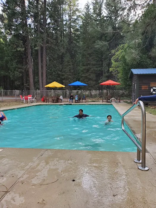 Trinity Lake KOA Holiday Picture 1