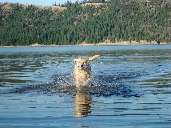 Trinity Lake KOA Holiday Picture 9
