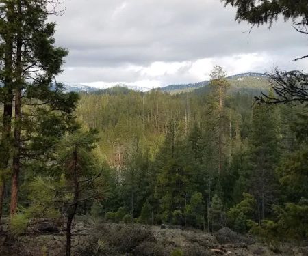 Preacher Meadow Campground