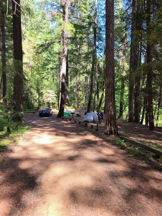 Bridge Camp Campground Picture 8