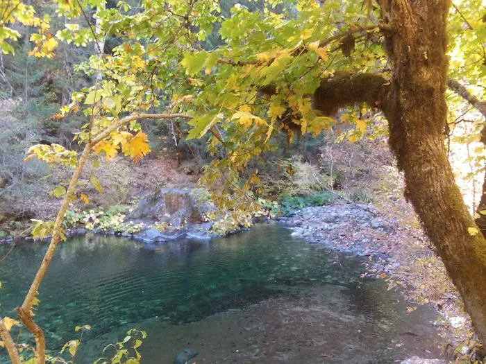 Bridge Camp Campground Picture 10