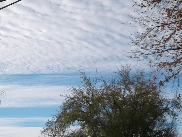 HACIENDA (formerly Country Woods Estates) Picture 7