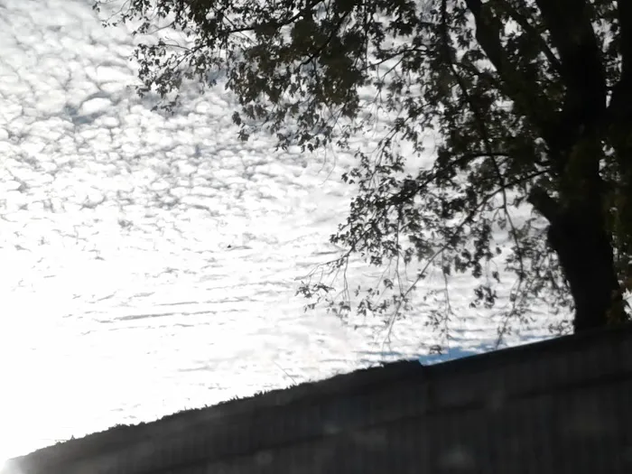 HACIENDA (formerly Country Woods Estates) Picture 4