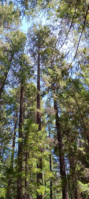 Alpine View Campground Picture 3