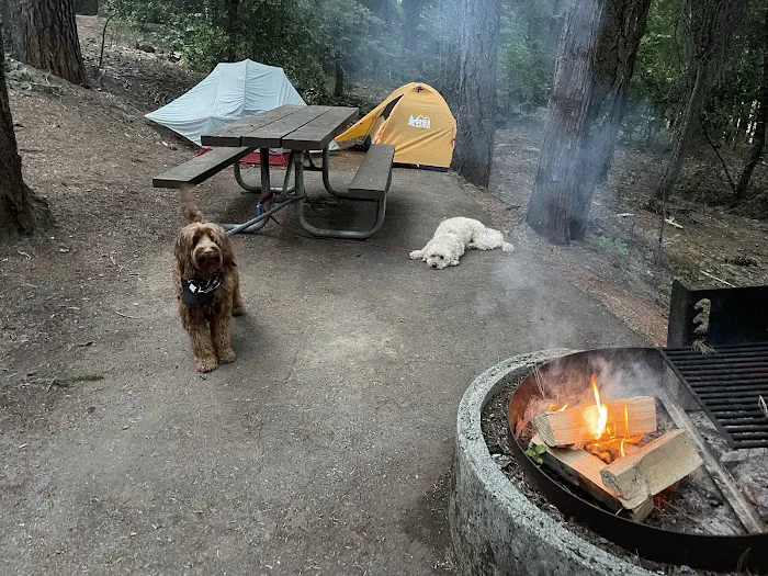 Alpine View Campground Picture 2