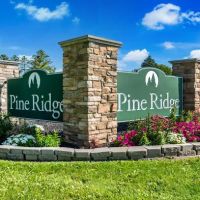 Pine Ridge ico