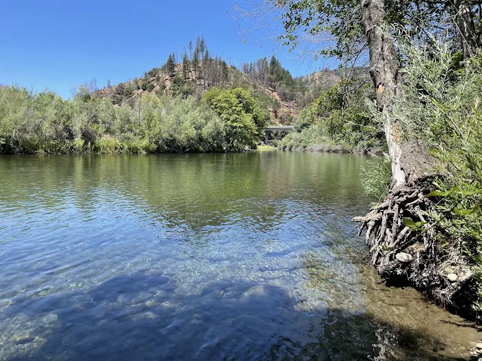 Pigeon Point Campground Picture 5