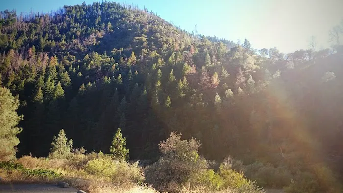 Pigeon Point Campground Picture 7