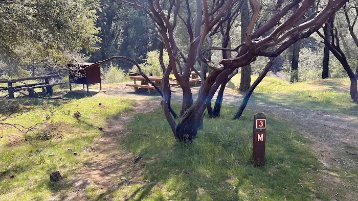 Pigeon Point Campground Picture 3