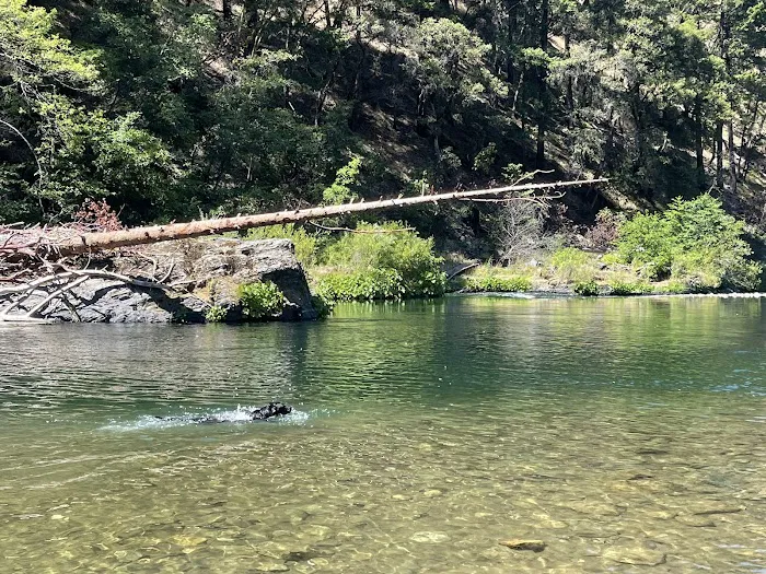 Pigeon Point Campground Picture 6