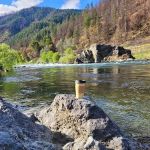 Trinity Adventure Park