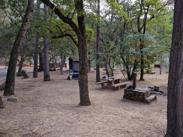 Big Flat Campground Picture 5