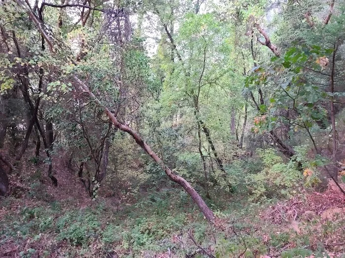 Junction City Campground Picture 8