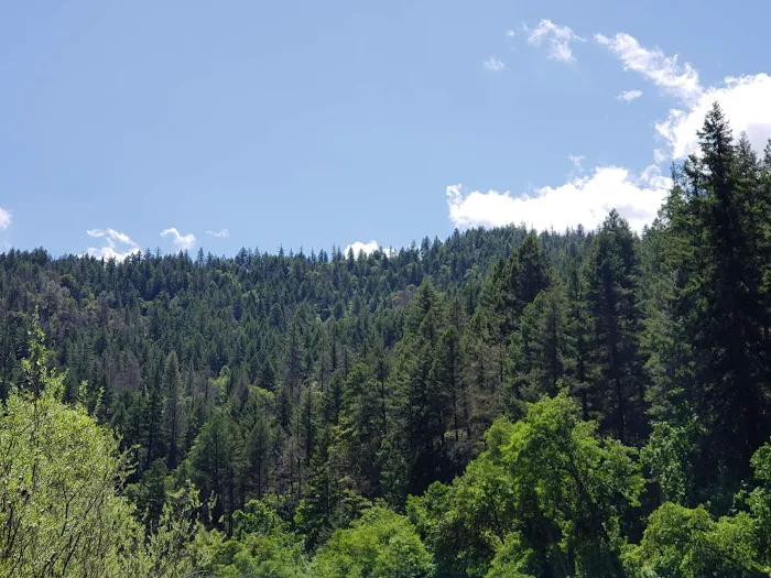 Skunk Point Group Campground Picture 2