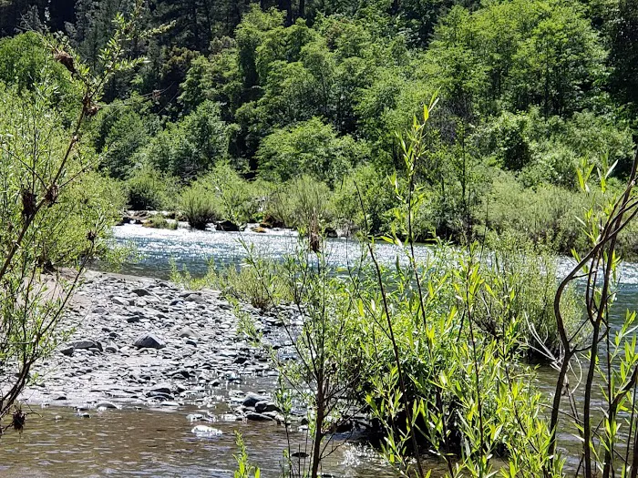 Skunk Point Group Campground Picture 3