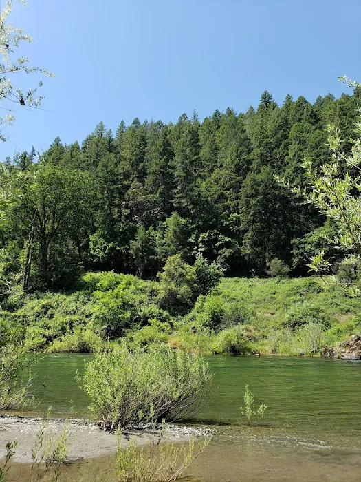 Skunk Point Group Campground Picture 4