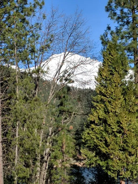 US Forest Service Ranger Station Picture 5