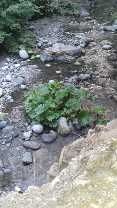 Rush Creek Campground Picture 2