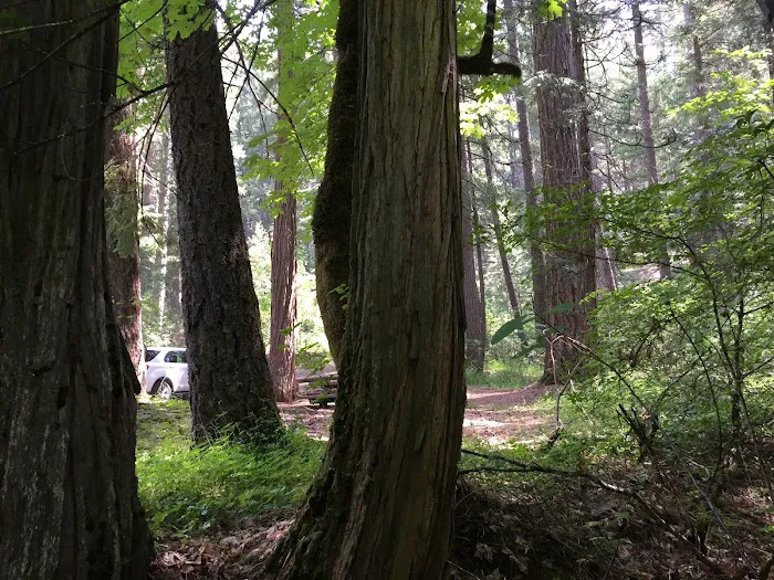 Rush Creek Campground Picture 1