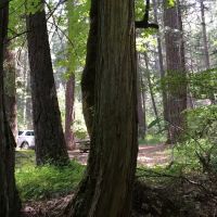Rush Creek Campground ico