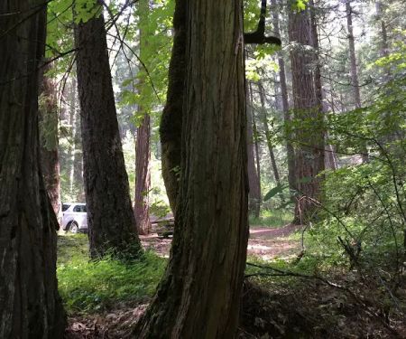 Rush Creek Campground