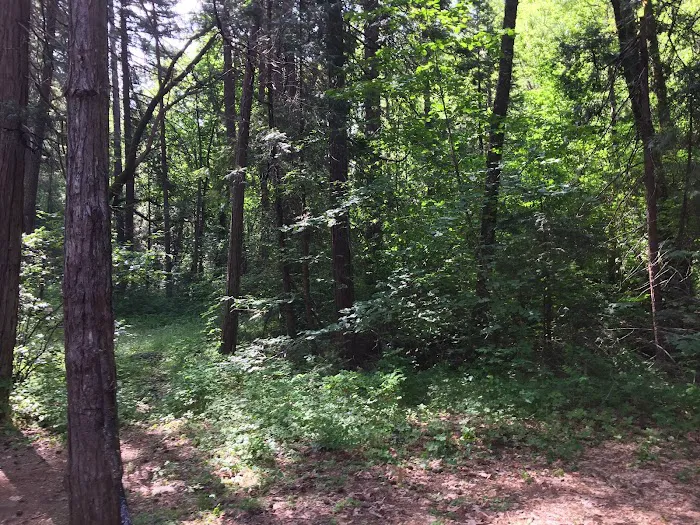 Rush Creek Campground Picture 4