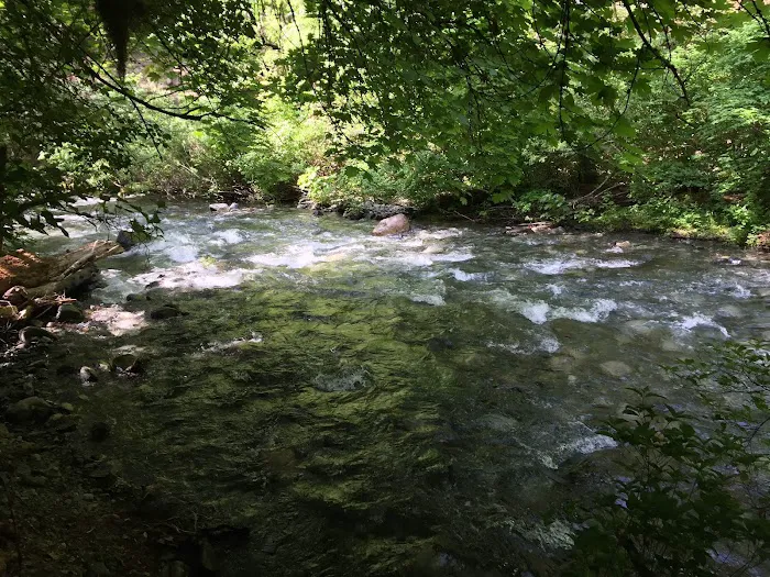 Rush Creek Campground Picture 10