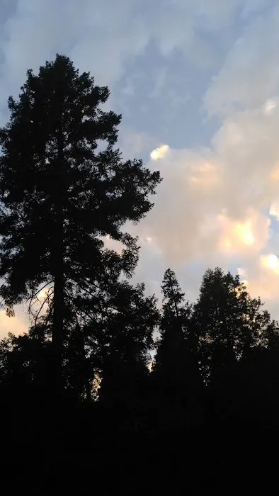 Rush Creek Campground Picture 6